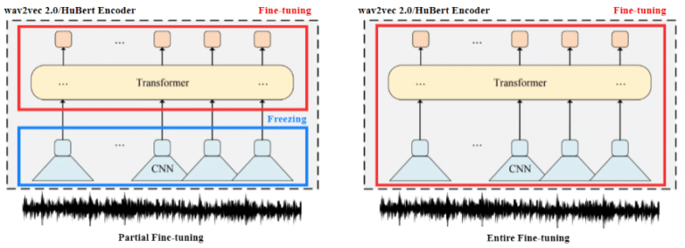 Fine-tuning Methods for wav2vec 2.0 / HuBERT Encoders